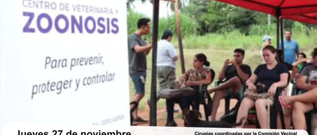 ELDORADO: Operativo de esterilización de mascotas en el Quirófano Veterinario Móvil