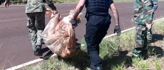 ANDRESITO: Investigan la muerte de un gato onza por presunto atropellamiento