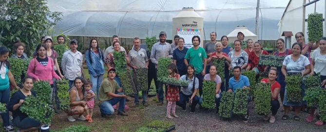 ELDORADO: Entregan 350 bandejas de plantines a productores, familias y escuelas