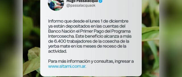 Más de 6.400 yerbateros cobran el primer pago del Programa Intercosecha