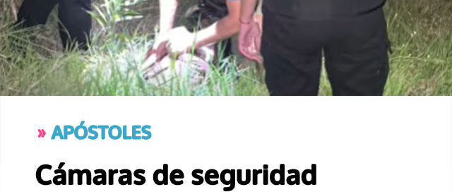 Cámaras de seguridad permitieron identificar a un joven que robaba en una vivienda y terminó detenido