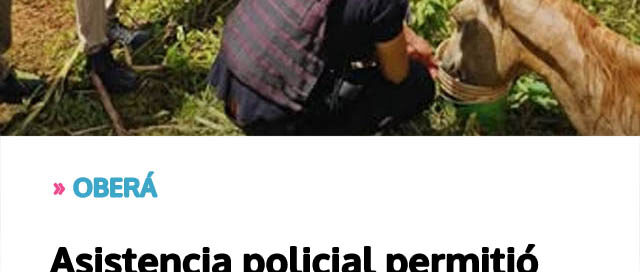 Asistencia policial permitió atender a una yegua herida tras un ataque