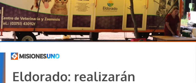 Eldorado: realizarán operativo de esterilización gratuita en el barrio Bompadre