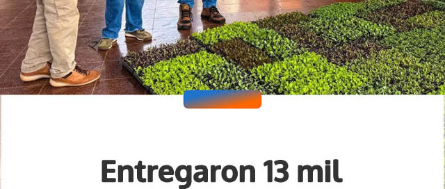 Entregaron 13 mil plantines para fortalecer la producción en el Mercado Concentrador de Eldorado