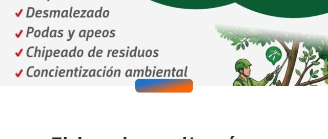 Eldorado: realizarán un operativo ambiental integral en el barrio Durian
